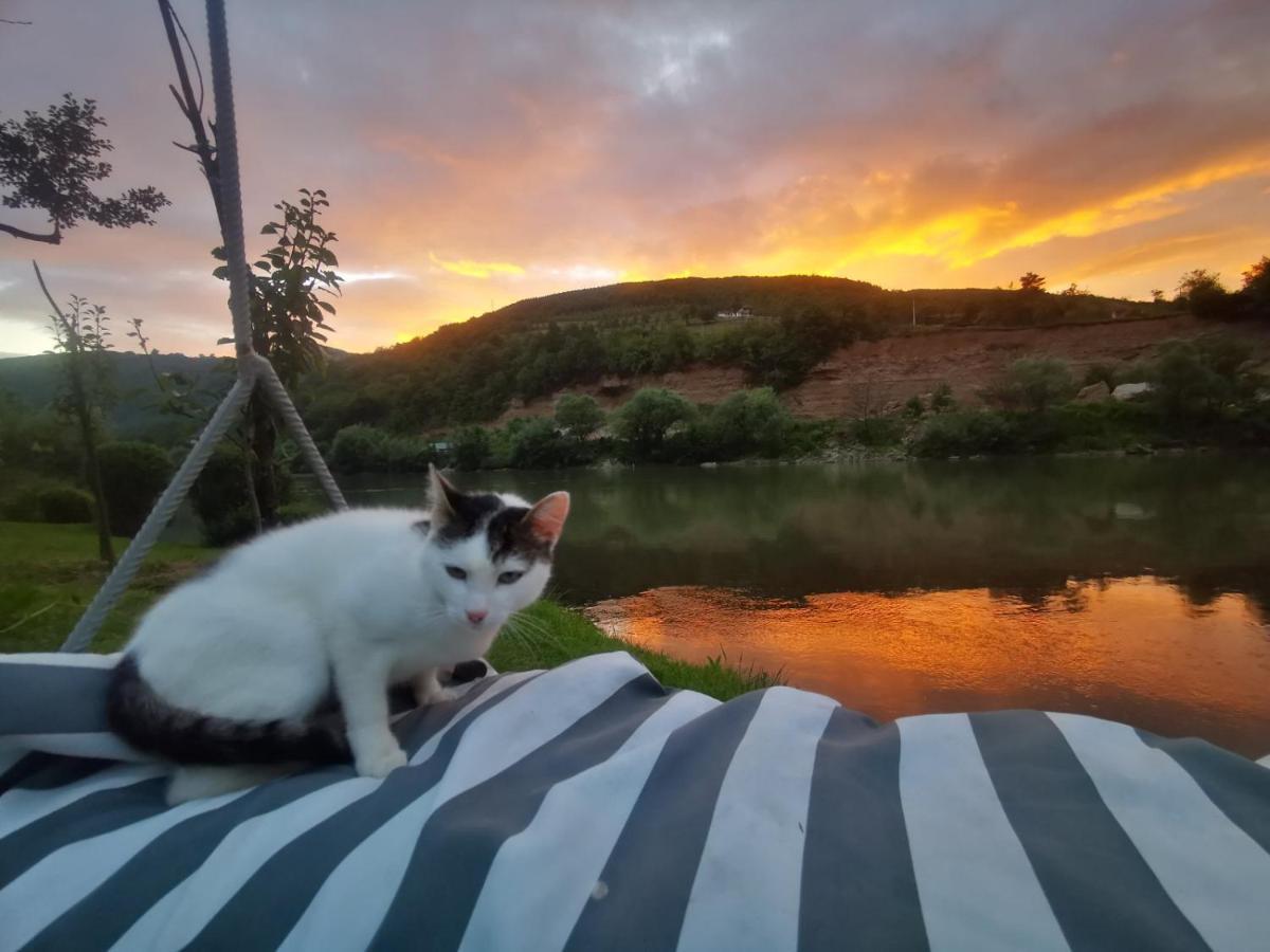 Prenociste Na Drini Foca Bed & Breakfast Luaran gambar